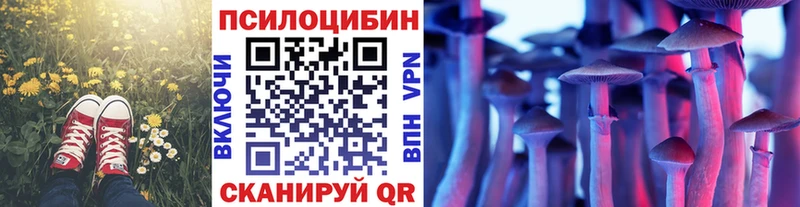 Галлюциногенные грибы мицелий  Медвежьегорск 